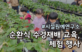 [썸네일 이미지] 우리 손으로 따는 딸기! 친환경 순환식 수경재배 신기해요