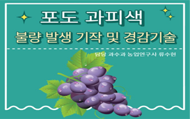 [썸네일 이미지] 포도 색깔을 반짝반짝, 진하게~