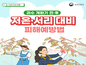 [썸네일 이미지] 과수 개화기 전·후 저온·서리 대비 피해예방법