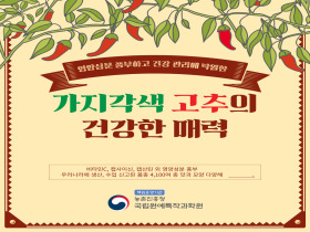 [썸네일 이미지] 가지각색 고추의 건강한 매력