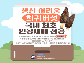 [썸네일 이미지] 생산 어려운 희귀버섯 국내 최초 인공재배 성공