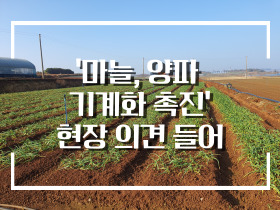 [썸네일 이미지] ‘마늘, 양파 기계화 촉진’ 현장 의견 들어