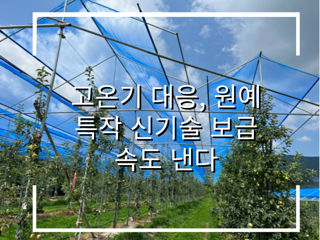 [썸네일 이미지] 고온기 대응, 원예특작 신기술 보급 속도 낸다