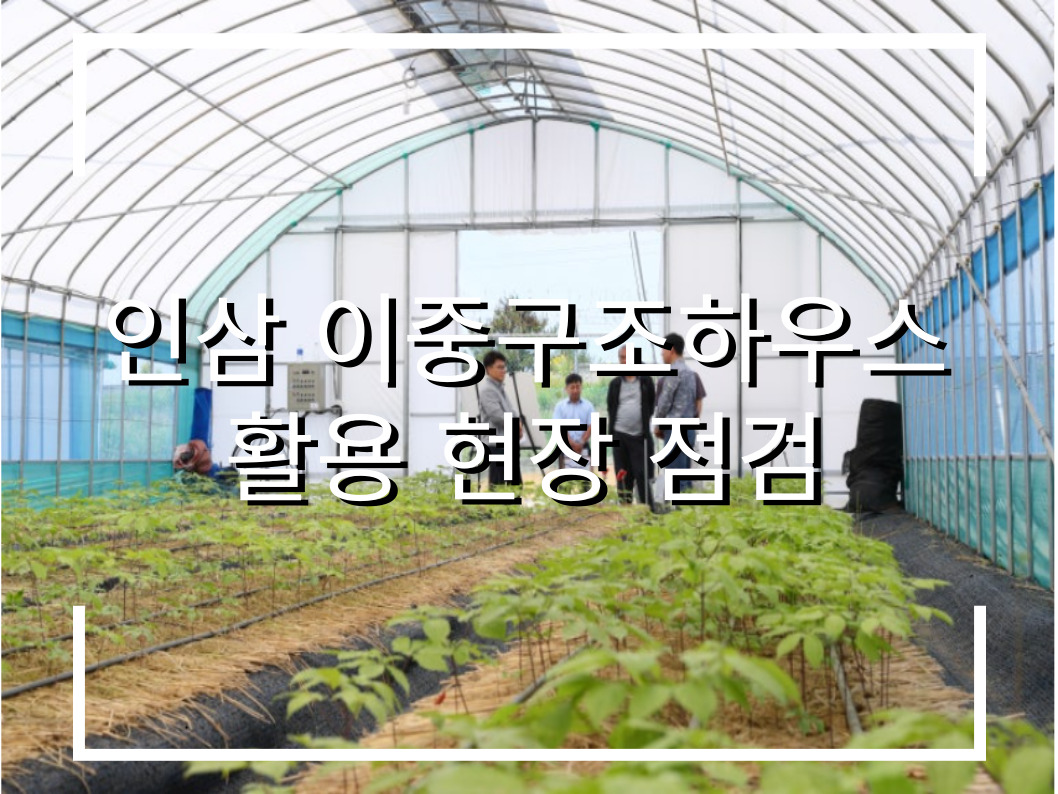 [썸네일 이미지] 인삼 이중구조하우스 활용 현장 점검!