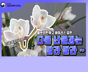 [썸네일 이미지] 다른 난들과는 달라 달라 ~