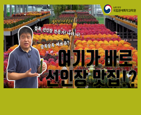 [썸네일 이미지] 여기가 바로 선인장 맛집!?