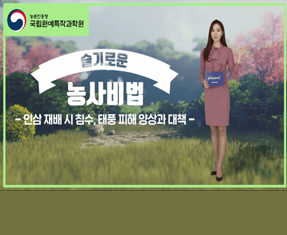 [썸네일 이미지] 인삼재배 시 침수, 태풍 피해 양상과 대책