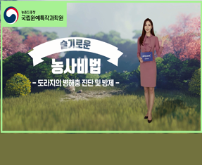 [썸네일 이미지] 도라지의 병해충 진단 및 방제
