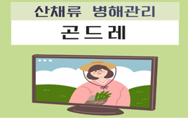 [썸네일 이미지] 곤드레~만드레~산채류 병해관리에 대해 알아보아요~
