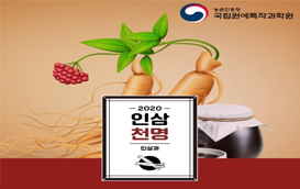 [썸네일 이미지] 우리 땅, 우리 인삼 품종 ep.3 '천명'을 받으시오 ~!
