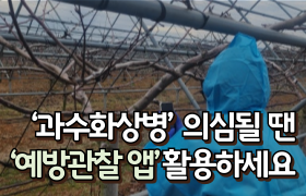 [썸네일 이미지] ‘과수화상병’ 의심될 땐 ‘예방관찰 앱’ 활용하세요