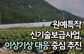 [썸네일 이미지] 원예특작 신기술보급사업, 이상기상 대응 중심 추진
