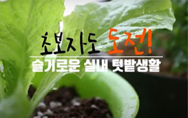 [썸네일 이미지] 초보자도 도전~! 실내텃밭 가꾸기