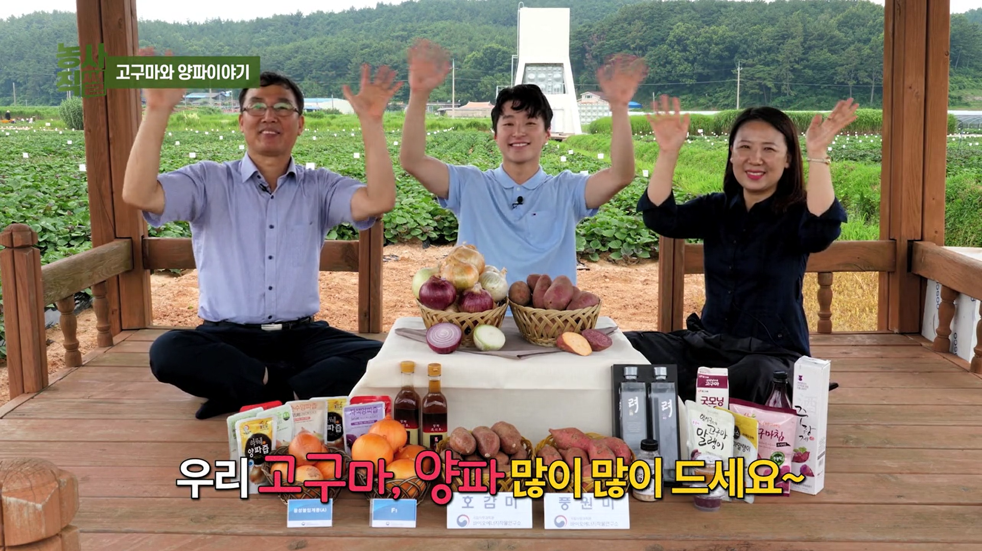 [썸네일 이미지] 농사직썰 고구마와 양파이야기