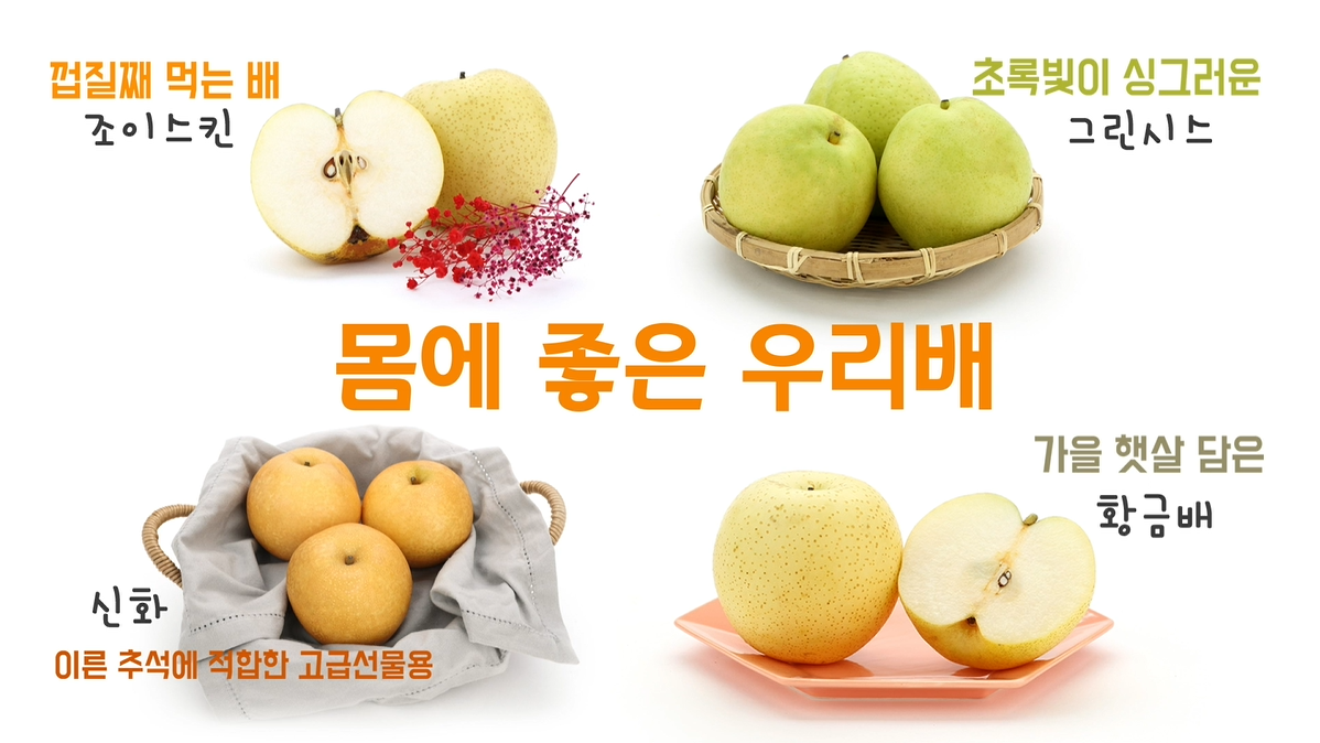 [썸네일 이미지] 국립원예특작과학원에서 개발한 우리배