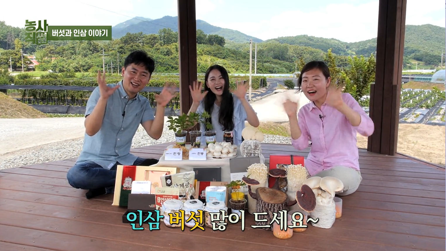 [썸네일 이미지] 농사직썰 버섯과 인삼이야기