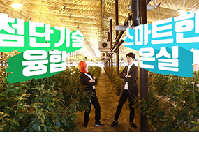 [썸네일 이미지] 쿨링하우스~ 이건 온실의 대혁신!!