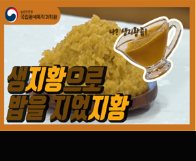 [썸네일 이미지] 생지황으로 밥을 지었지황~!