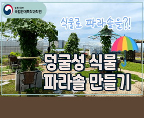 [썸네일 이미지] 덩굴성 식물 파라솔 만들기