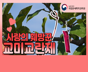 [썸네일 이미지] 사랑의 훼방꾼 '교미교란제'