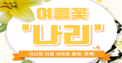 [썸네일 이미지] 국산화 이끌 새로운 품종 여름꽃 '나리'