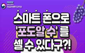 [썸네일 이미지] 스마트 폰으로 ‘포도알 수’ 쉽게 센다