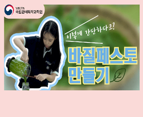 [썸네일 이미지] 바질페스토 만들기