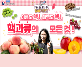 [썸네일 이미지] 핵과류의 모든 것!