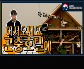 [썸네일 이미지] 곤충호텔에 어서오세요