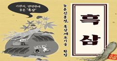 [썸네일 이미지] 기관지, 면역력에 좋은 '흑삼' 농촌진흥청, 흑삼제조기술 확립