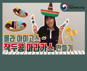 [썸네일 이미지] 작두콩 마라카스 만들기