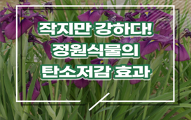 [썸네일 이미지] “작지만 강하다” 정원식물 탄소 저감 효과 톡톡
