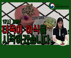 [썸네일 이미지] 다육이 이식을 시작하겠습니다