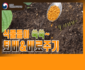 [썸네일 이미지] 식물들이 쑥쑥~ 퇴비&비료주기