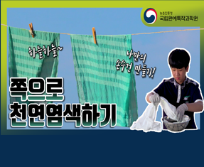 [썸네일 이미지] 쪽으로 천연염색하기