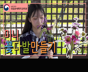 [썸네일 이미지] 미니 꽃다발 만들기