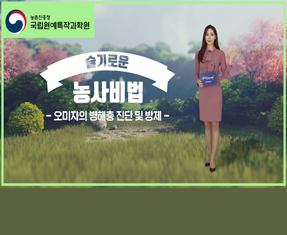 [썸네일 이미지] 오미자의 병해충 진단 및 방제