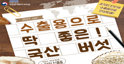 [썸네일 이미지] 수출용으로 딱 좋은 ! 국산 버섯