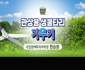 [썸네일 이미지] 관상용 생울타리 가꾸기