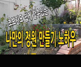 [썸네일 이미지] 나만의 정원 만들기 노하우