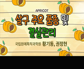 [썸네일 이미지] 살구 주요 품종 및 결실관리
