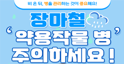[썸네일 이미지] 장마철 약용작물 병 주의하세요