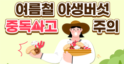 [썸네일 이미지] 여름철 야생버섯 중독사고 주의