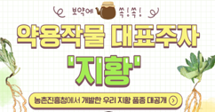 [썸네일 이미지] 약용작물 대표주자 '지황'