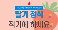 [썸네일 이미지] 딸기 정식 적기에 하세요