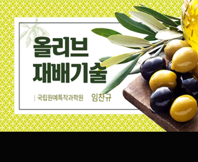 [썸네일 이미지] 올리브 재배기술