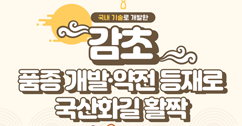 [썸네일 이미지] '약방의 감초', 품종 개발 · 약전 등재로 국산화 길 열다