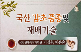 [썸네일 이미지] 국산 감초 품종 및 재배기술 