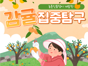 [썸네일 이미지] 감귤 집중탐구