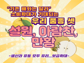 [썸네일 이미지] 기존 배와는 달라 소비 확대가 기대되는 우리 품종 셋